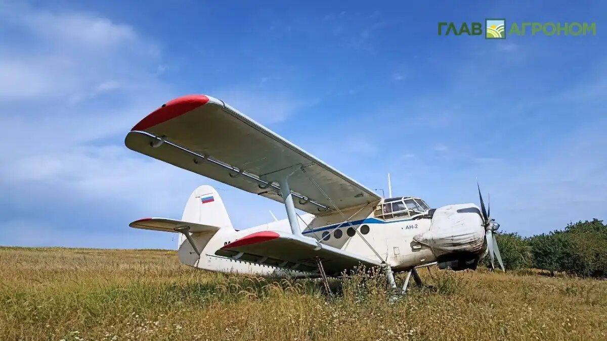 Фото:© Артем Борисов / Glavagronom.ru
Сатурн является федеральной информационной системой, в которой все действия осуществляются на бесплатной основе