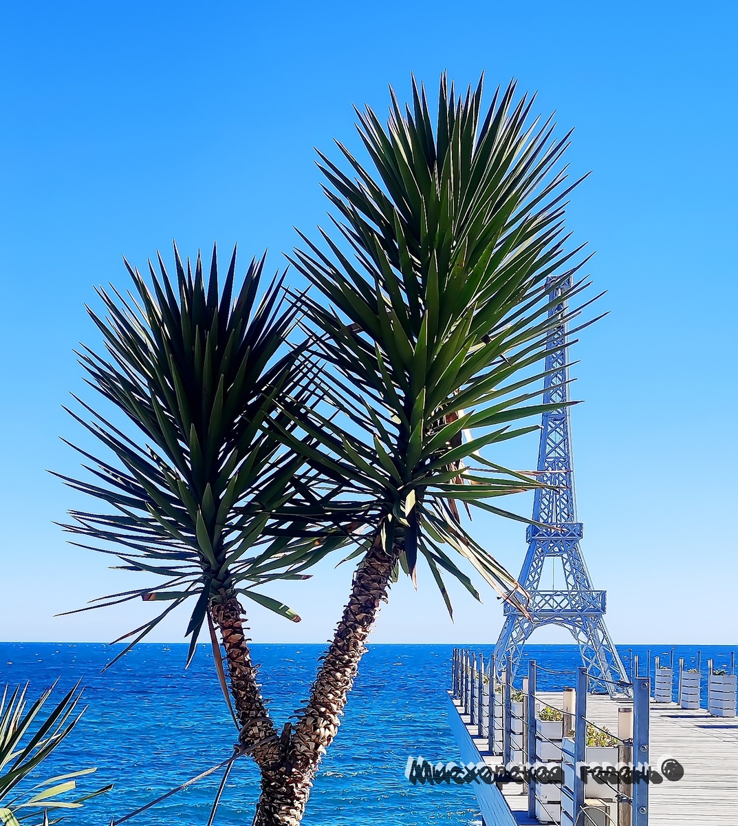 Ялта солярий Массандровского пляжа. Крым