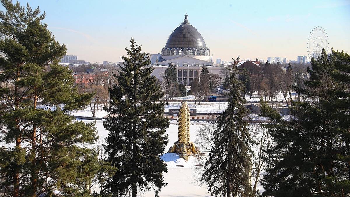    Фото: Сергей Ведяшкин / АГН Москва