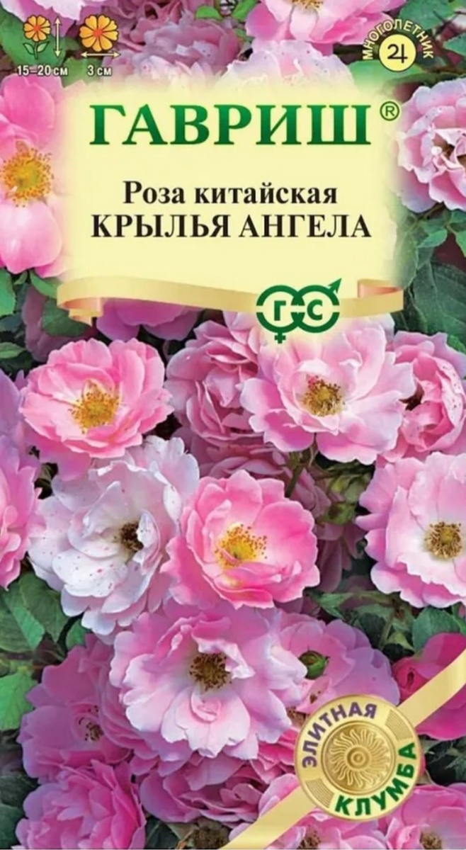 Семена китайской розы