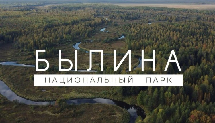 Источник новости: https://nia.eco/2024/12/13/95242/
