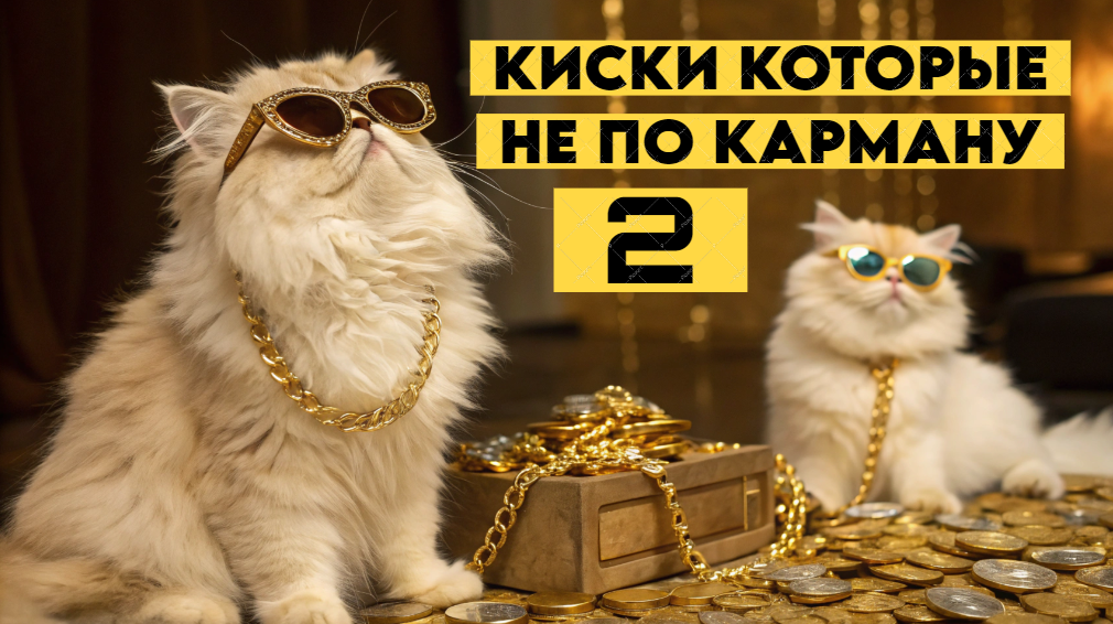 Дорогие породы экзотических кошек, которые будут не каждому по карману