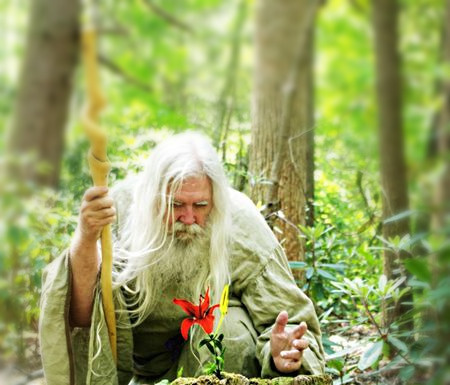 Изображение из открытых источников. Коллаж.