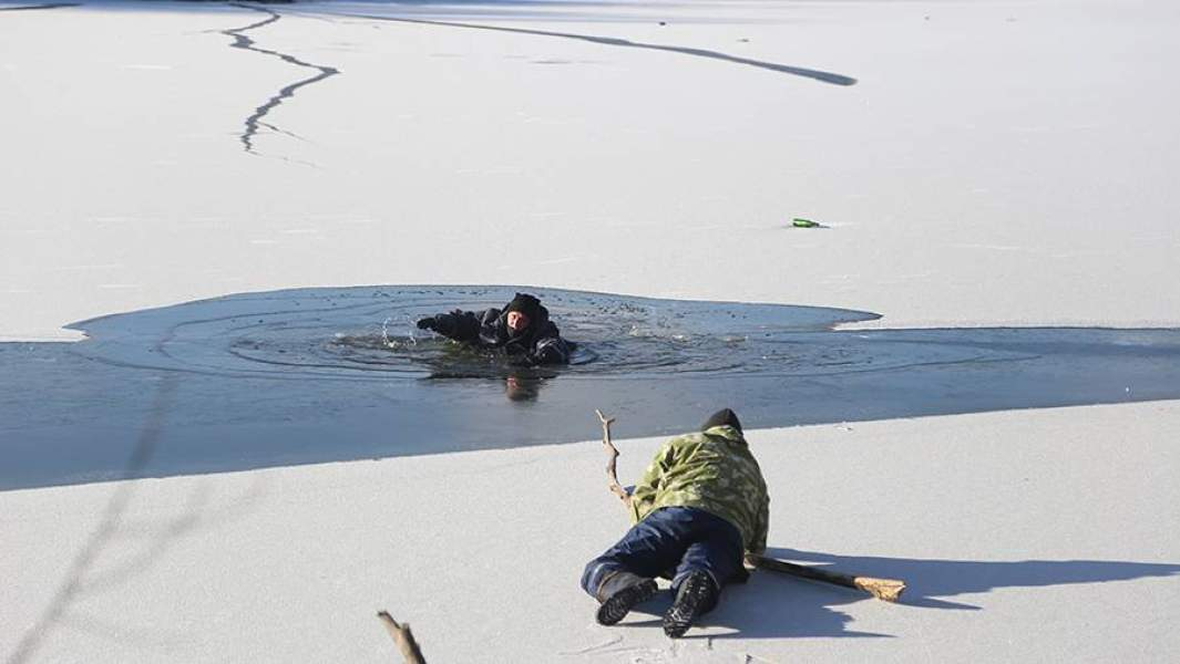 Фото с сайта: https://cdn.iz.ru