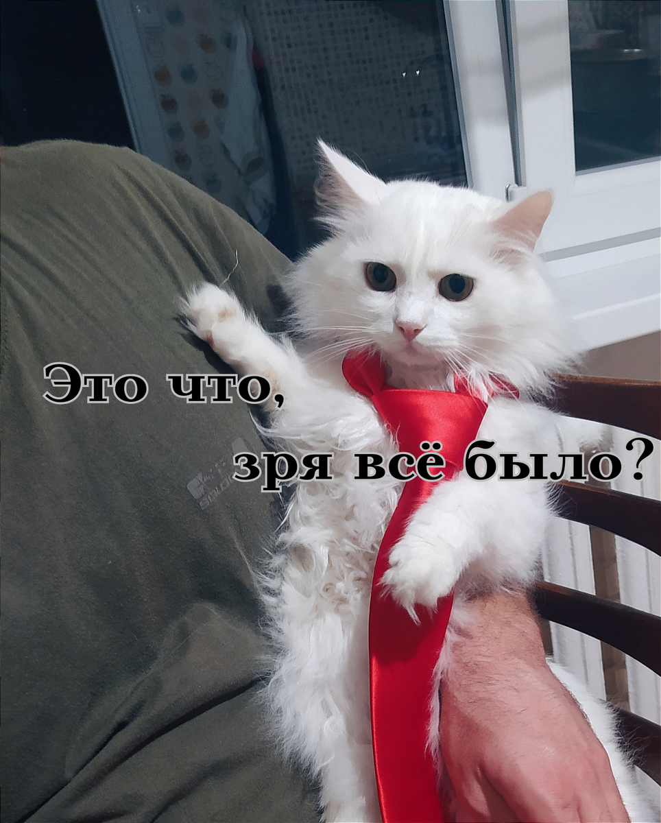 Кокосик тоже в шоке. Фото для обложки. 