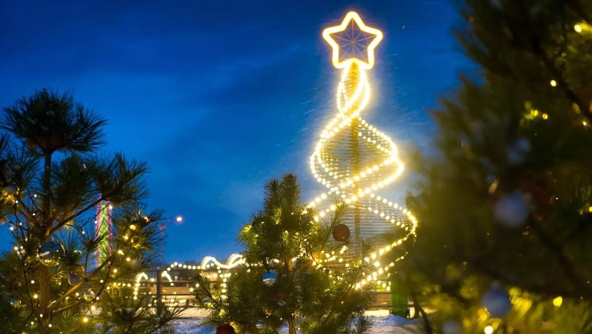     Источник: ЦПКиО