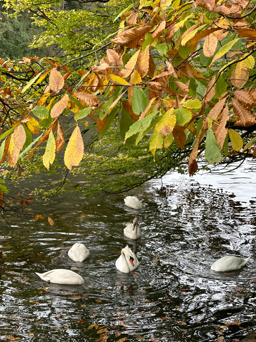 Надеюсь, ваши выходные прекрасны)
