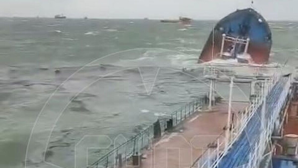    Фото: t.me/shot_shot