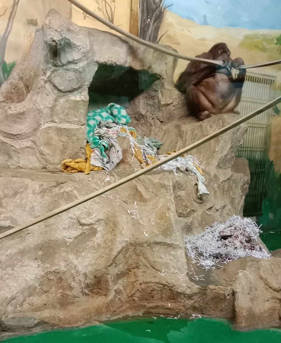 Мишель решает чем ей заняться