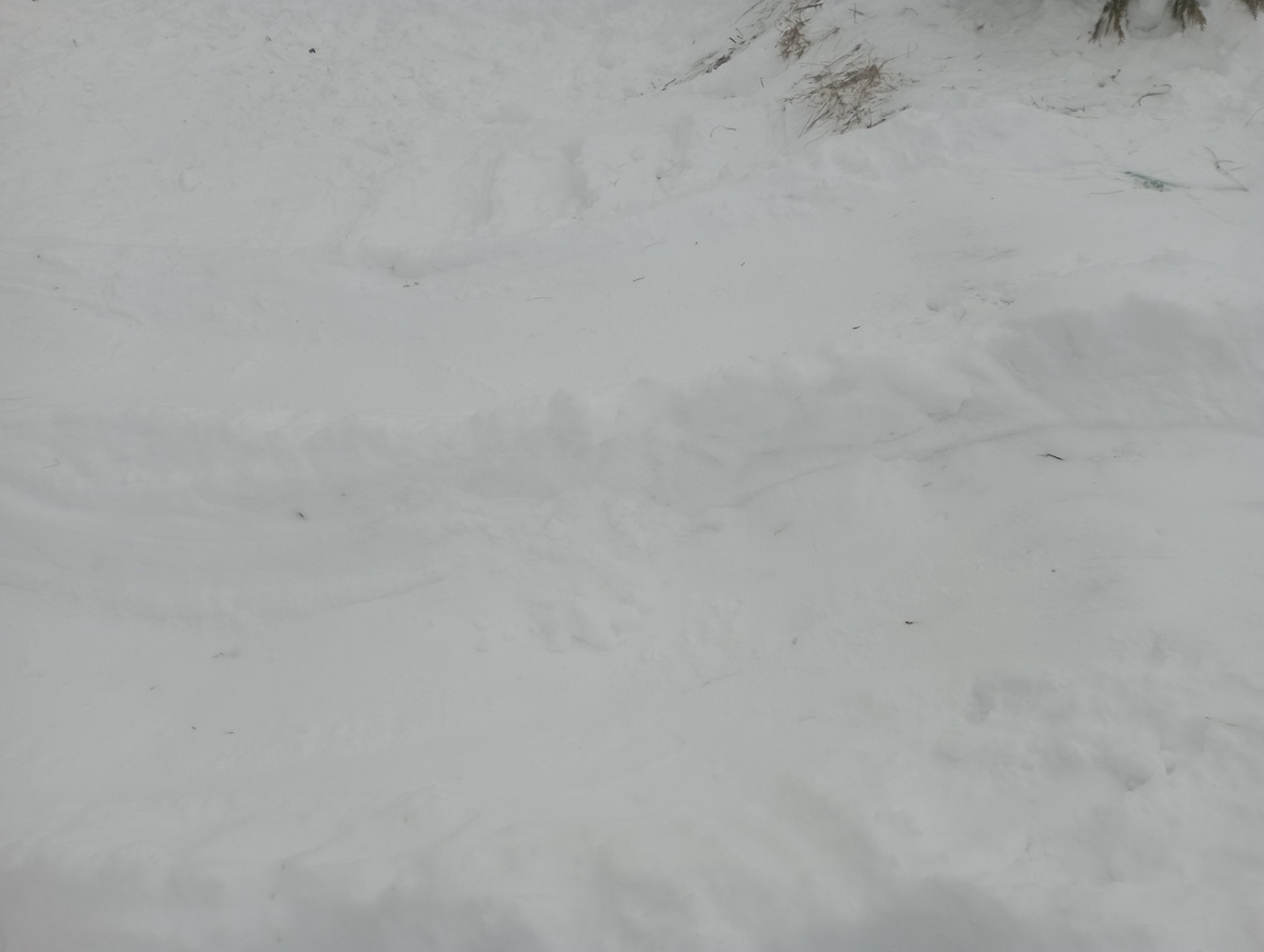 Наши горочки