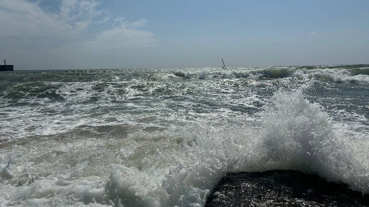    Фото: телеканал «Краснодар»