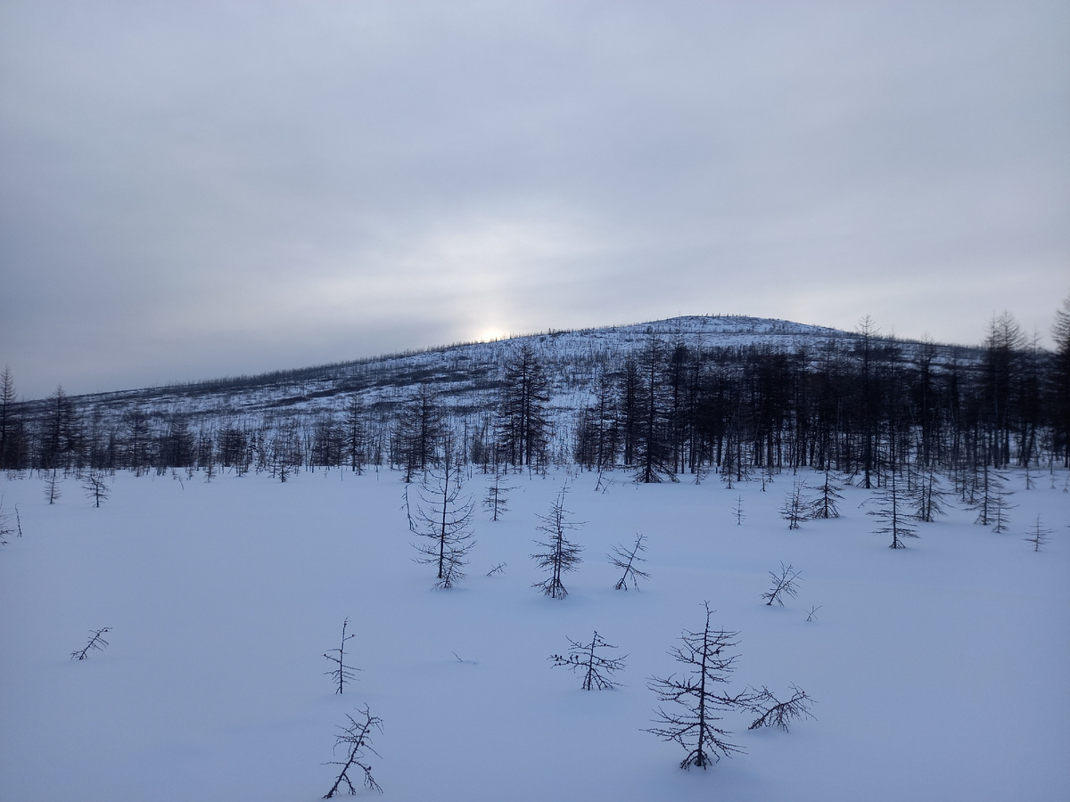Декабрьский полдень.
