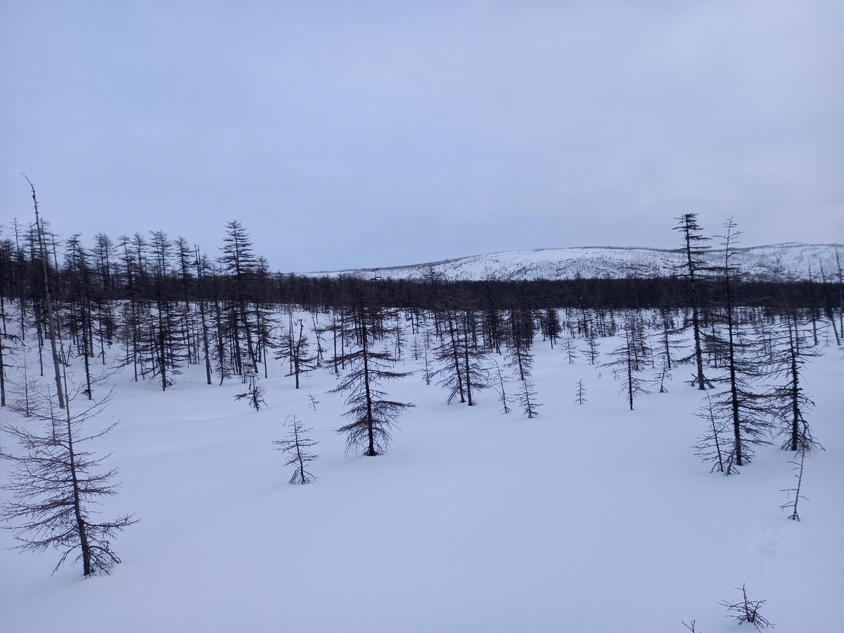 Тоже середина короткого декабрьского дня.