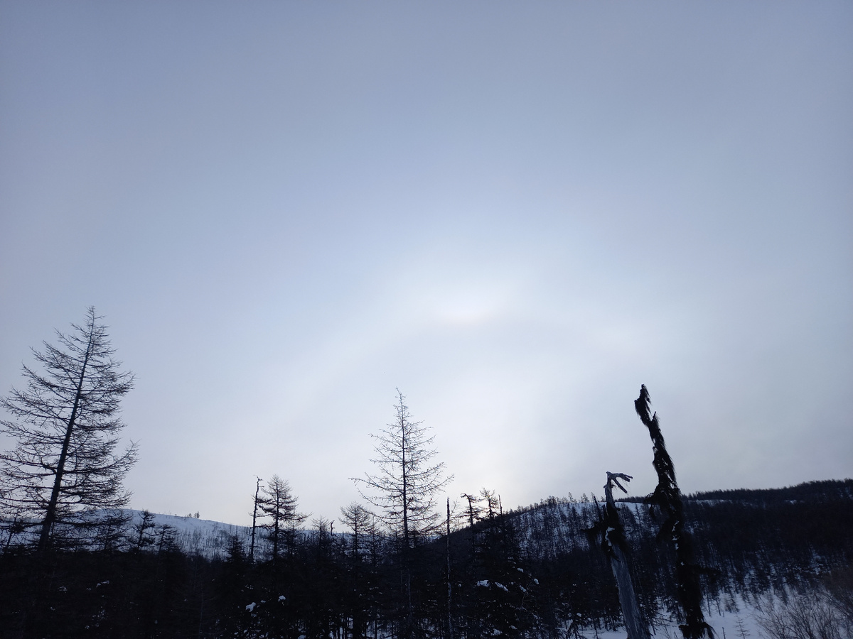 Гало вокруг солнца. Полдень!