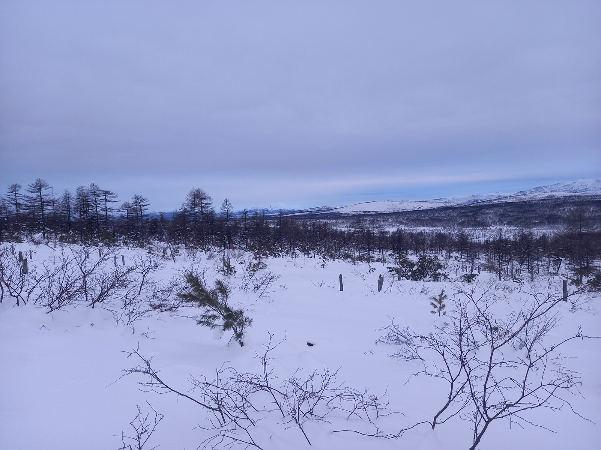 Кусочек голубого неба в начале декабря.