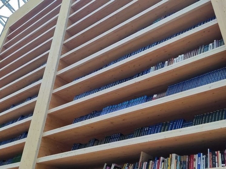     Дети довольно редко выбирают книги вместо просмотра фильмов, однако важно развивать культуру чтения для того, чтобы развивать его эмоциональный интеллект. Фото: МК в Мурманске