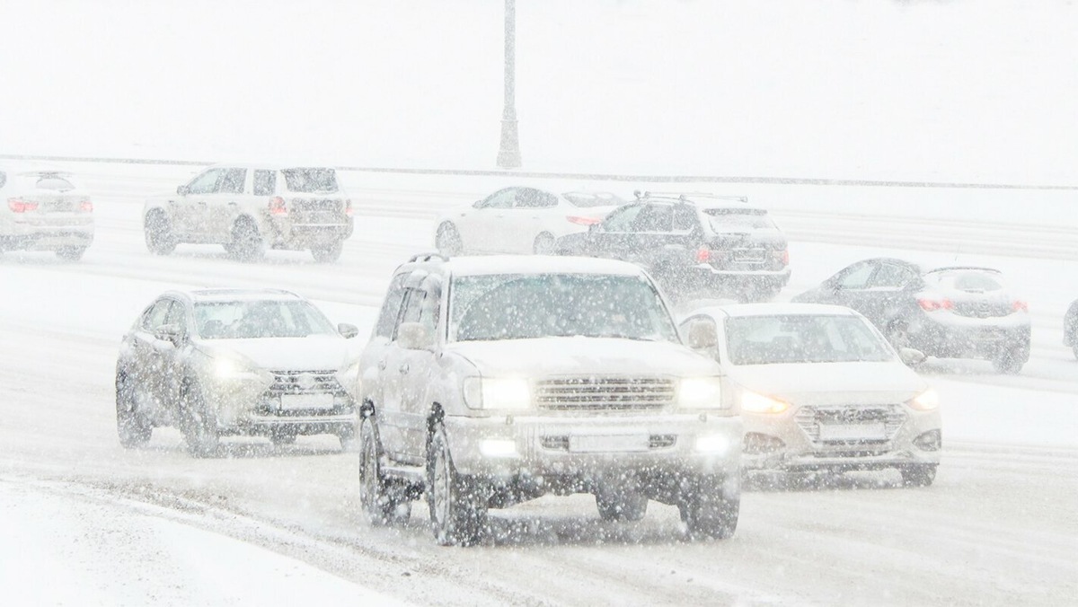     Источник: mos.ru