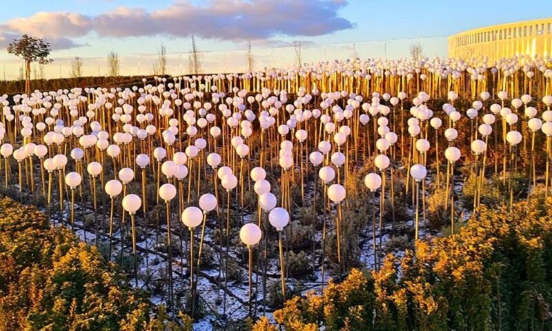    Фото t.me/park_galitskogo