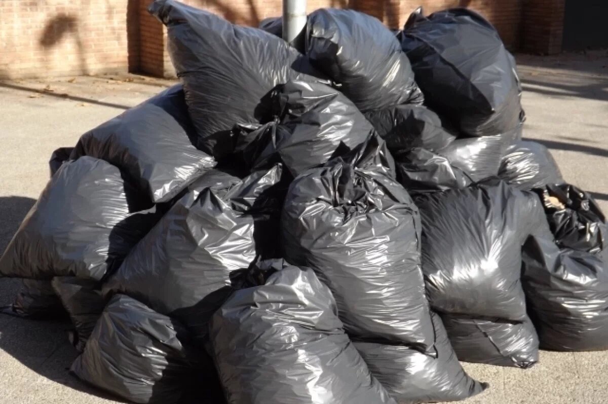    На Тамбовщине решают «мусорную» проблему