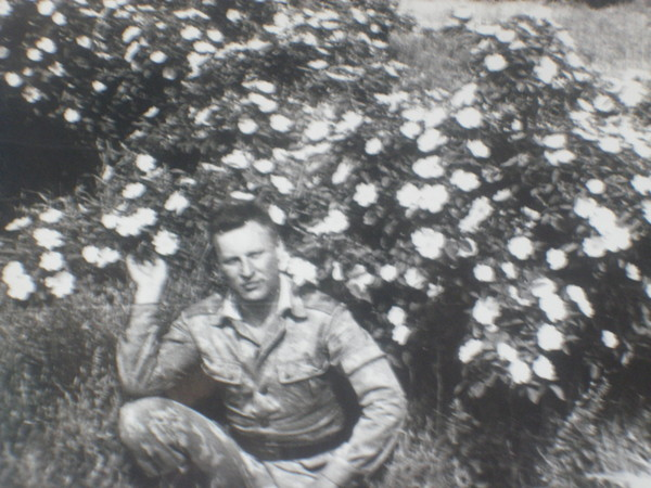 На фото: "Располагался туалет посреди шахского сада в густых зарослях розовых кустов. Красотища"...