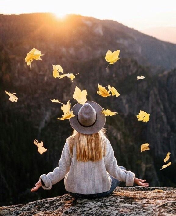 Яндекс Картинки