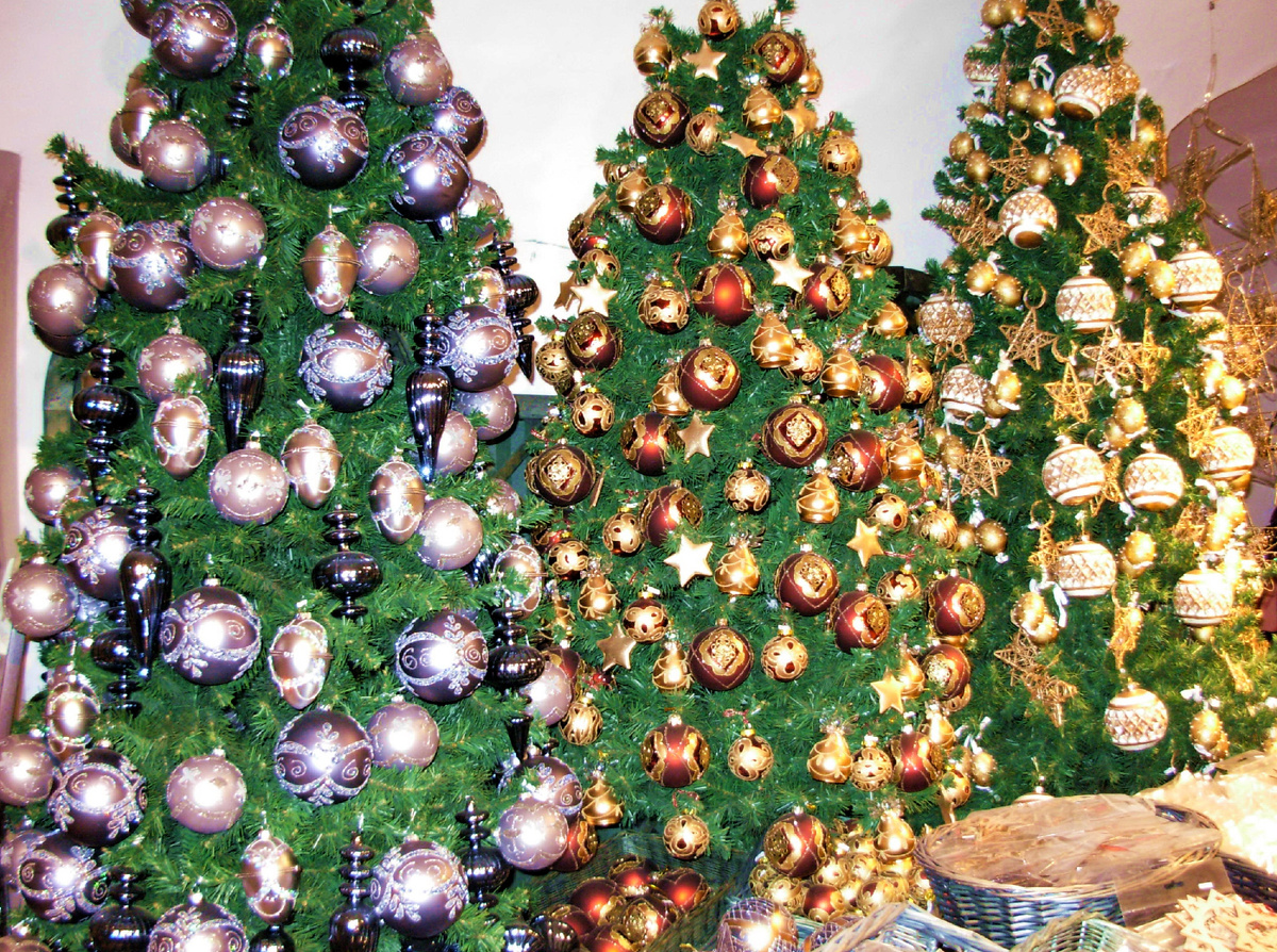 Все фотографии в статье мои и сделаны в 2012 г.