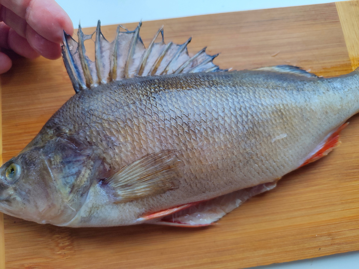 Суровая рыба, окунь...