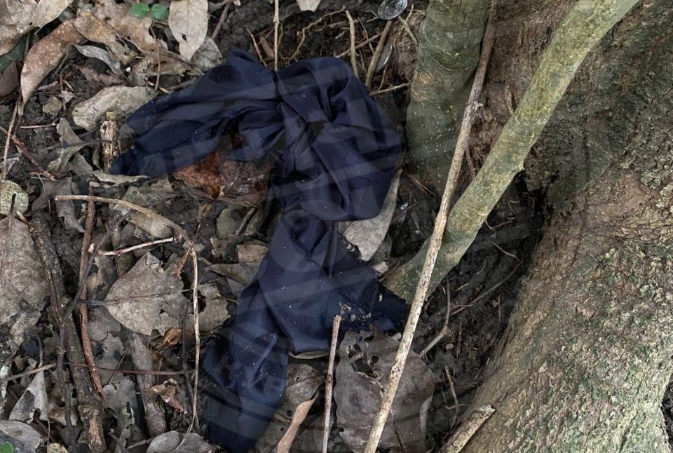    Фото: тг-канал «Типичный Сочи»