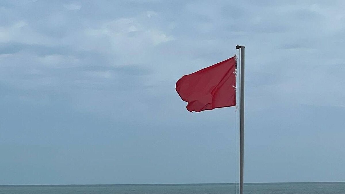    Фото: телеканал «Краснодар»