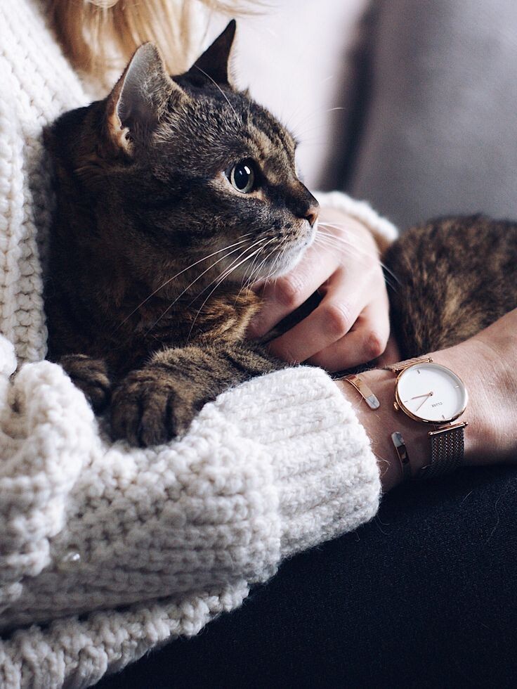 Фото из Интернета.