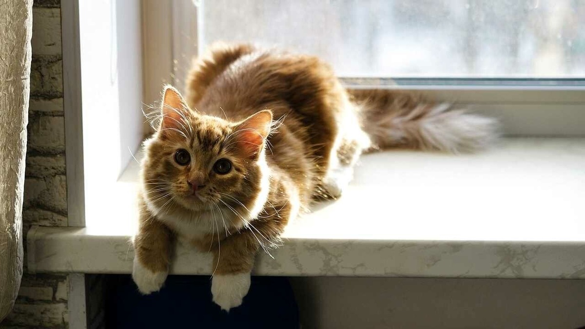 Фото из Интернета.