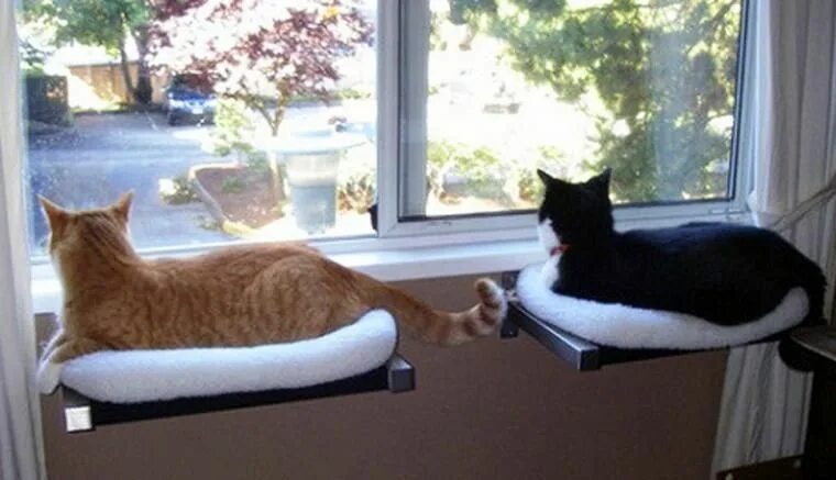 Фото из Интернета.