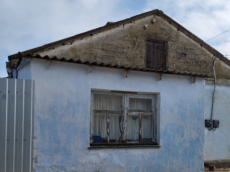 Фото: Анастасия Стрибная