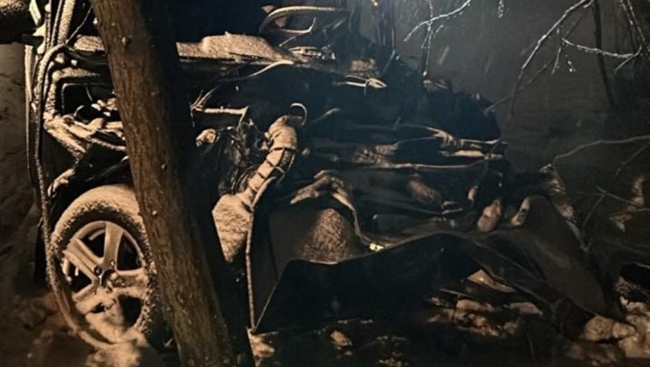    Автор фото: ГУ МВД по Санкт-Петербургу и Ленинградской области