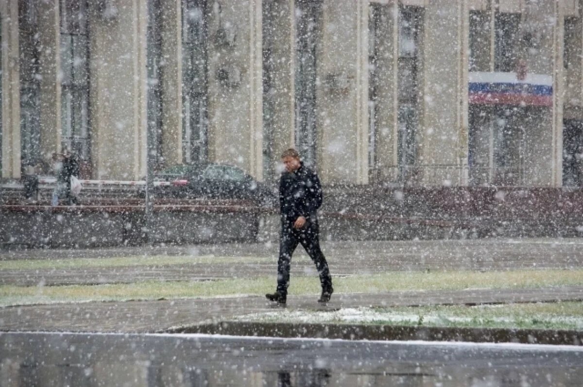    В Туле 16 декабря ожидается порывистый ветер и мокрый снег