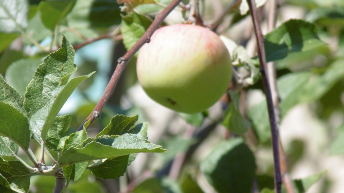 ООО «СДК»📷
