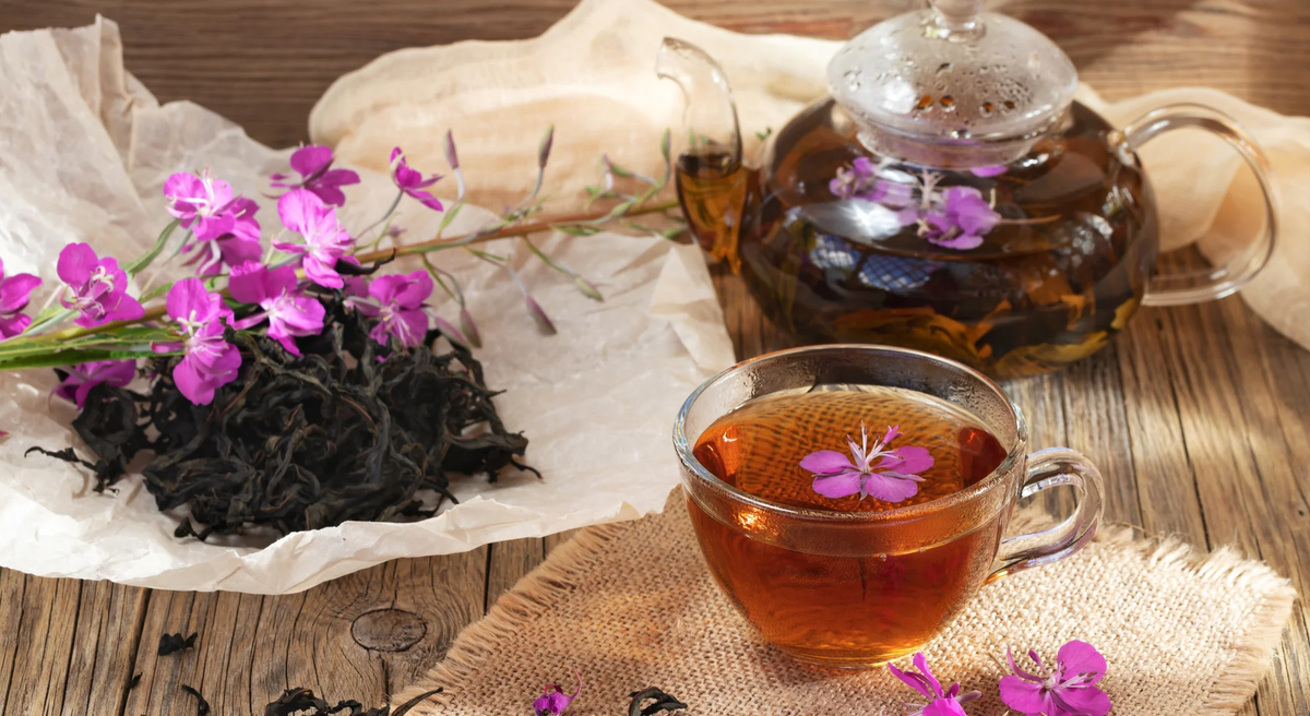 Кипрей (Иван-чай)