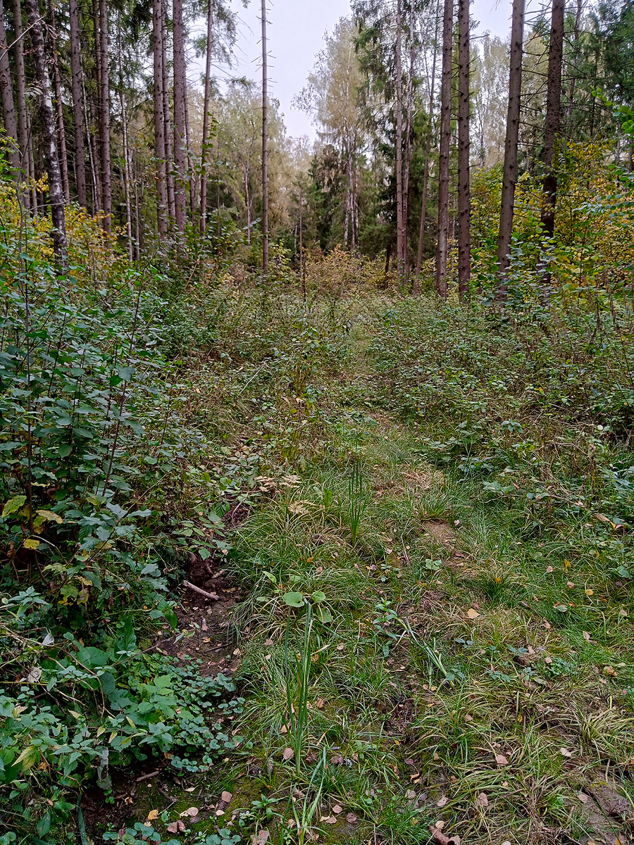 Автор фото muchca