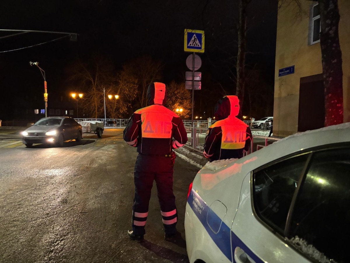    Фото: ГАИ Петрозаводска