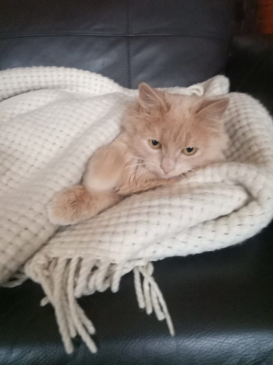 И я, и я тоже герой!