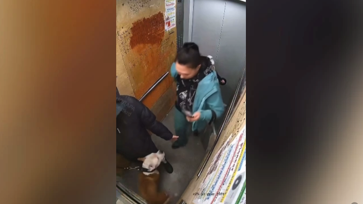    Фото: t.me/bigbro_krd