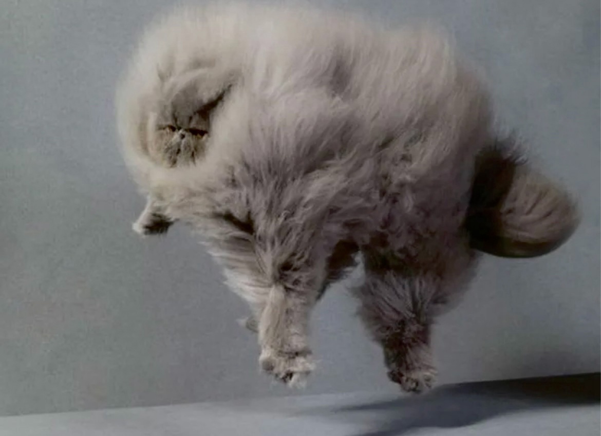 И снится нам не рокот космодромаааа...зеленая, зеленая трава ->->->