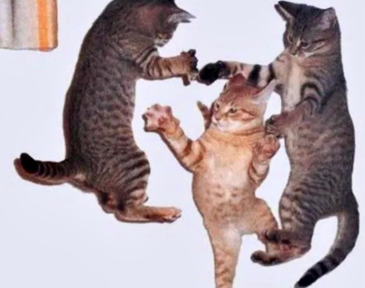 Как сказал великий Гагарин: "Поехали!"->->->