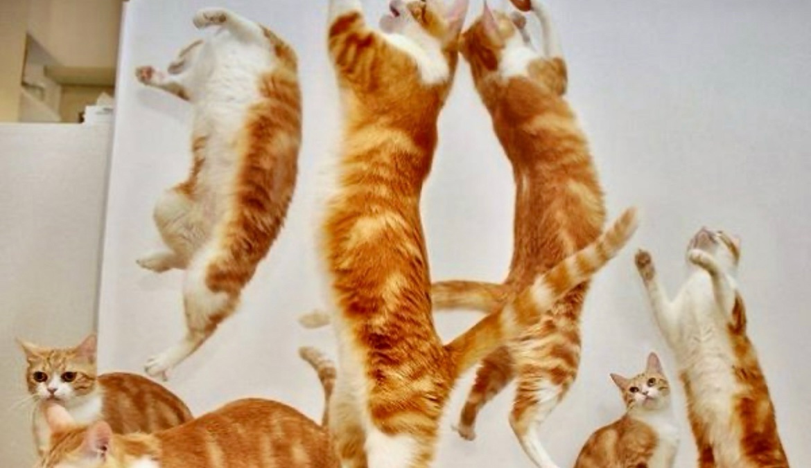 Пять минут - полет нормальный