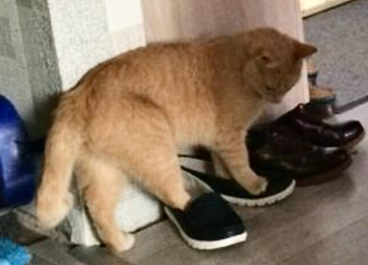 Мдаа, вроде заказал то свой размер, но явно продавцы что-то напутили ...->->->