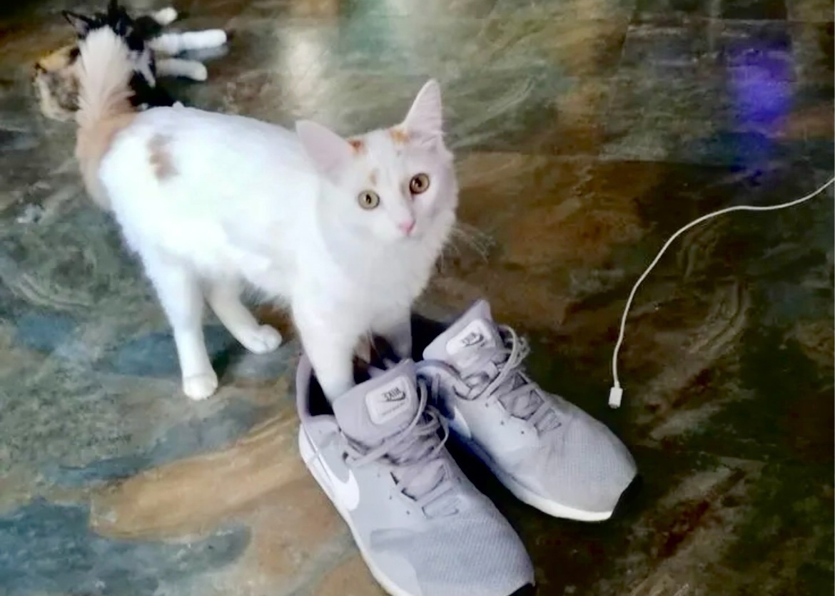 На вырост то на вырост. Но мама, как мне теперь в них бегать?