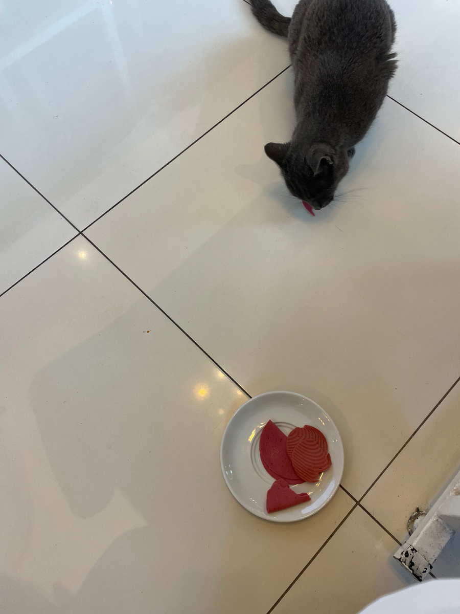 Коту колбаса зашла, хотя сначала есть не хотел 