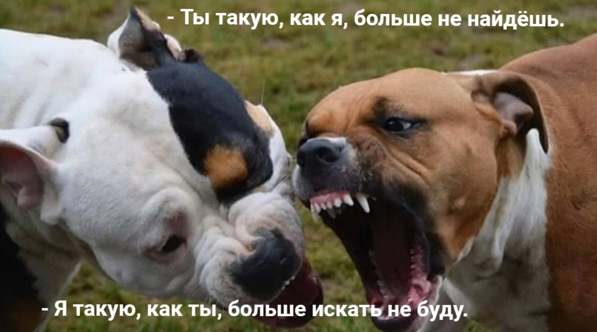 Фото из интернета в обработке автора