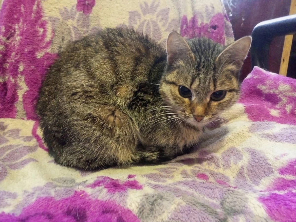 Милана похожа на маленького взъерошенного воробушка, до которого никому нет дела