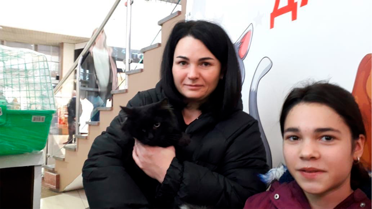    Котофей обрел семью